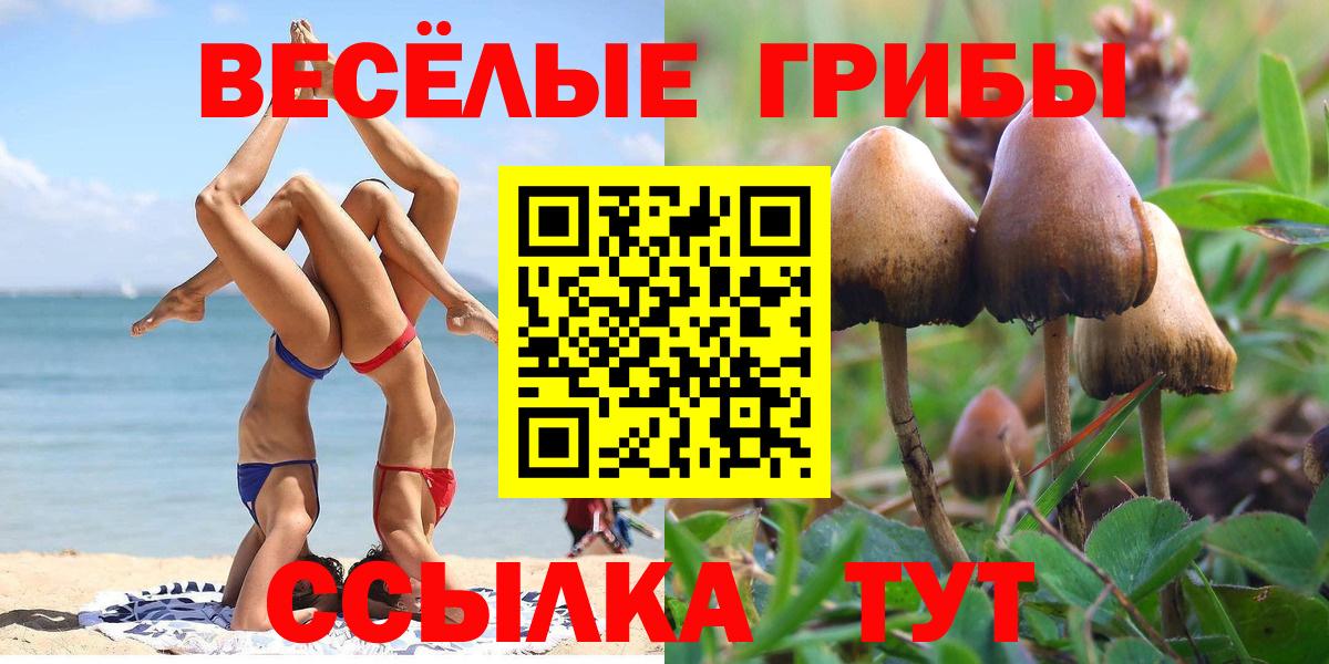 Галлюциногенные грибы прущие грибы Нижний Новгород