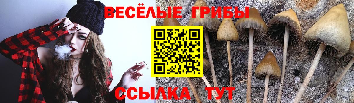 Нижний Новгород  Галлюциногенные грибы Cubensis  даркнет сайт  Вход с VPN 