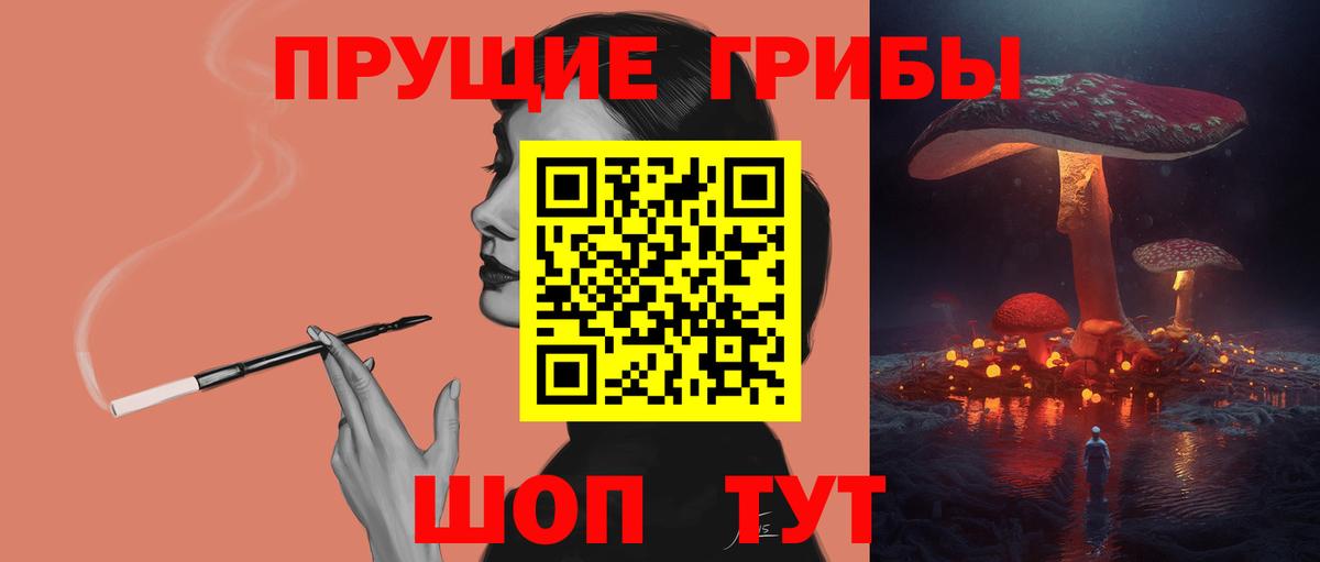 Псилоцибиновые грибы GOLDEN TEACHER  Псилоцибиновые грибы Cubensis  Нижний Новгород 